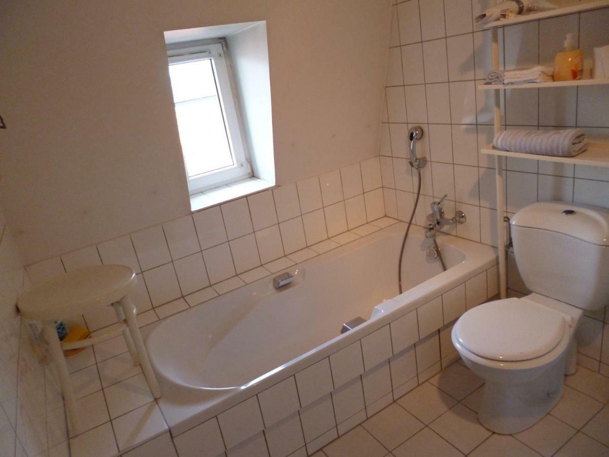 Albrecht Guest Apartement Kembs Eksteriør billede